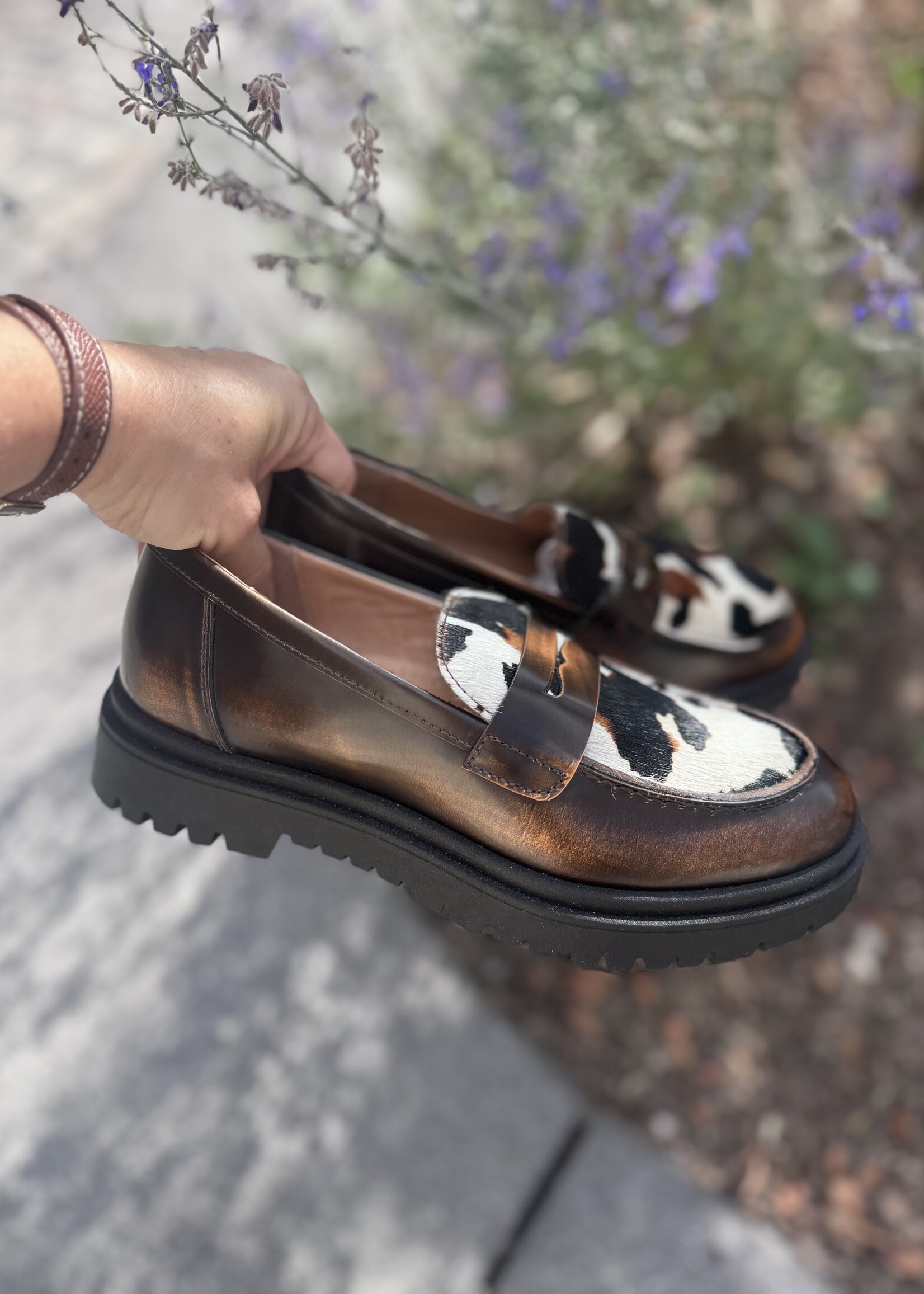 Dianetti I1589T mocassin bronzo nero