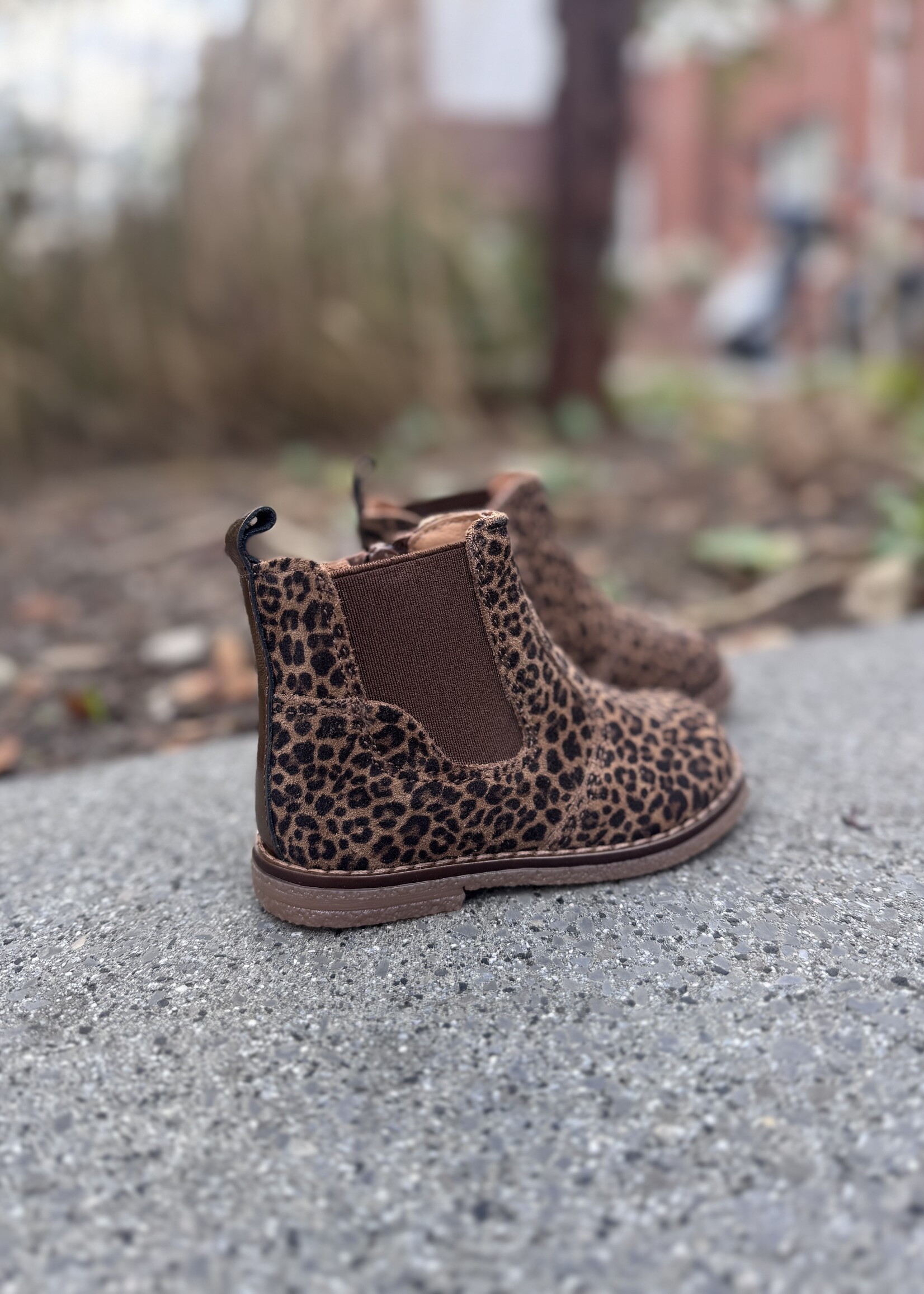 Romagnoli 9091R082 mini leopard camel