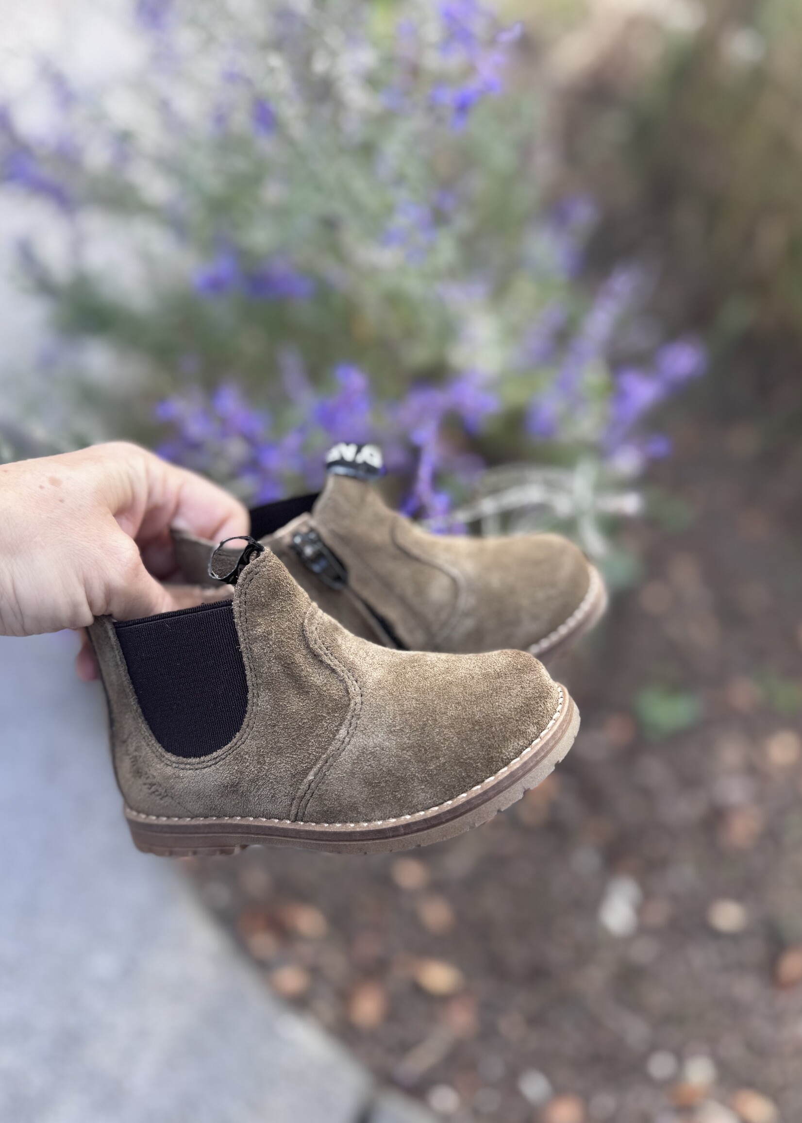 Pom d'api bob zip boots velours mousse clair