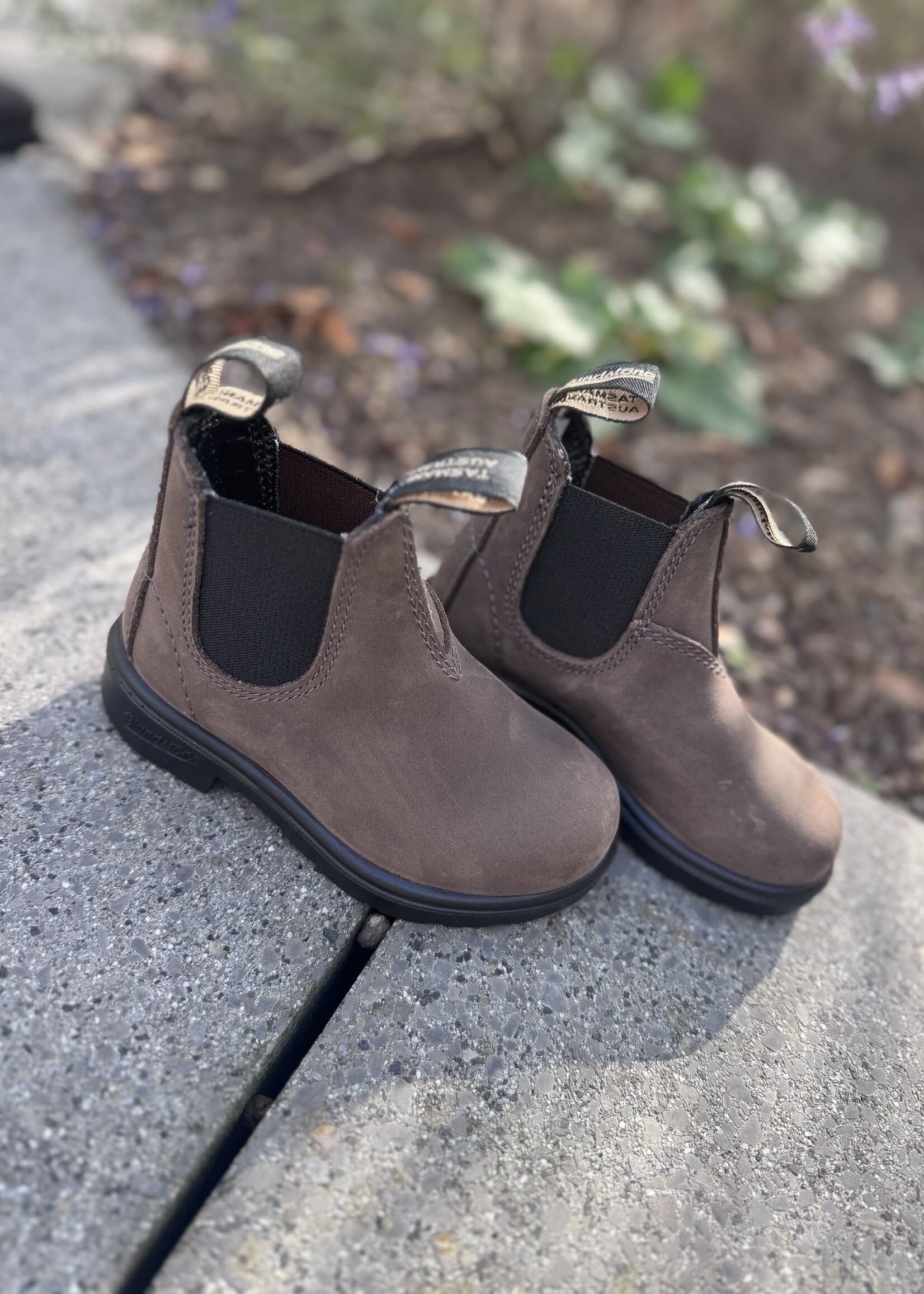 Blundstone 2651 clay