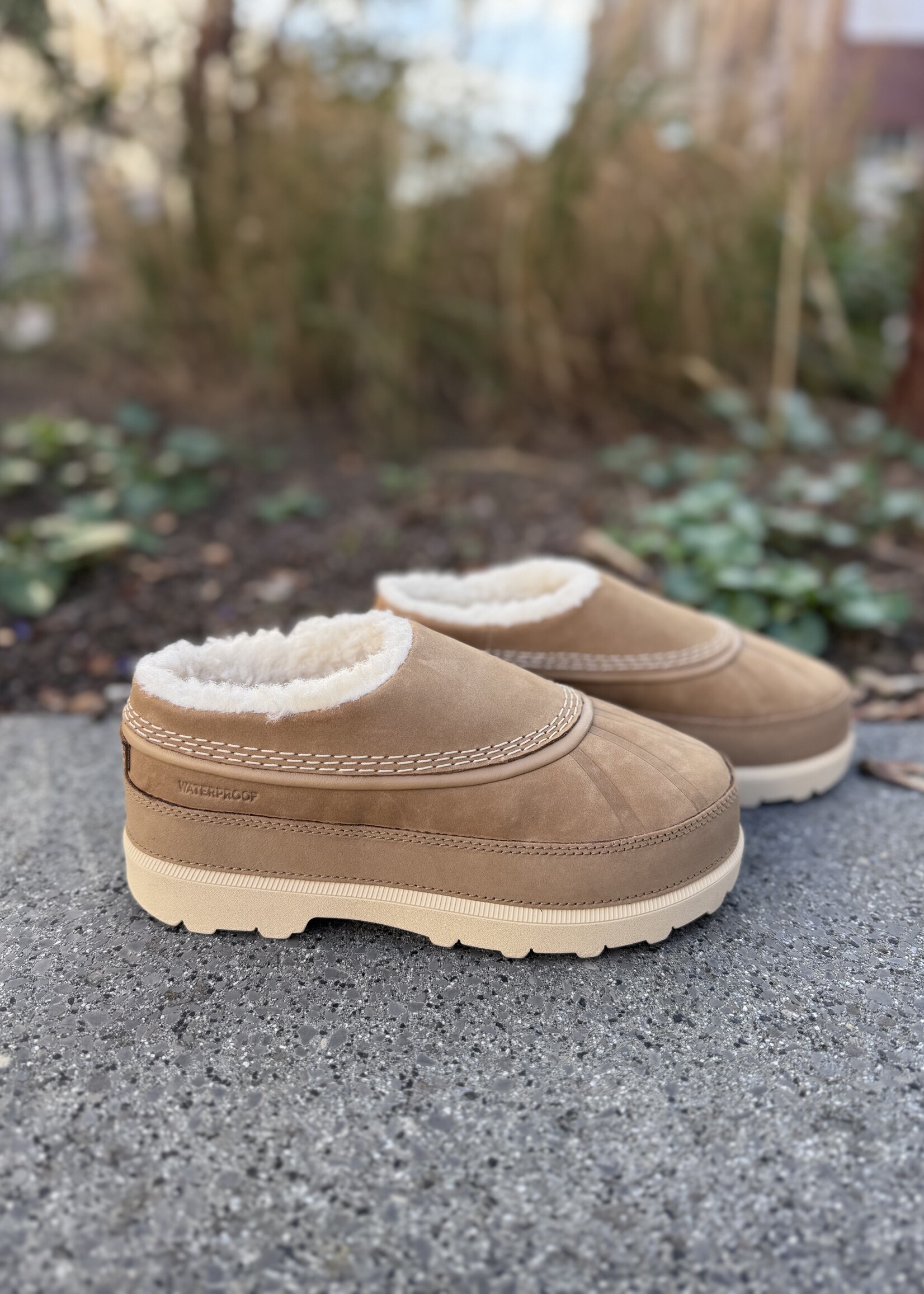 Sorel Fireside WP caribou buff beige