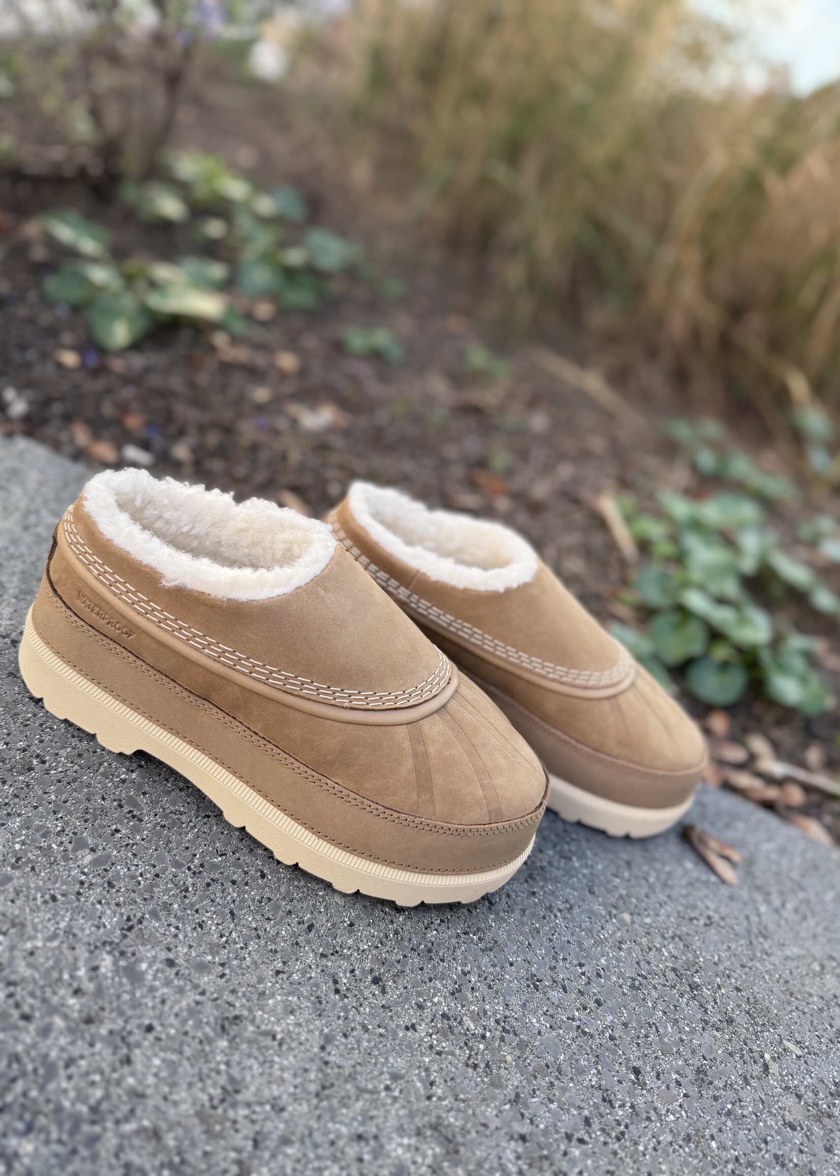 Sorel Fireside WP caribou buff beige