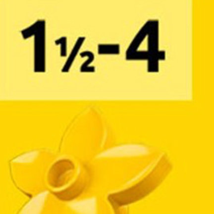 LEGO voor 1,5 - 4 jaar