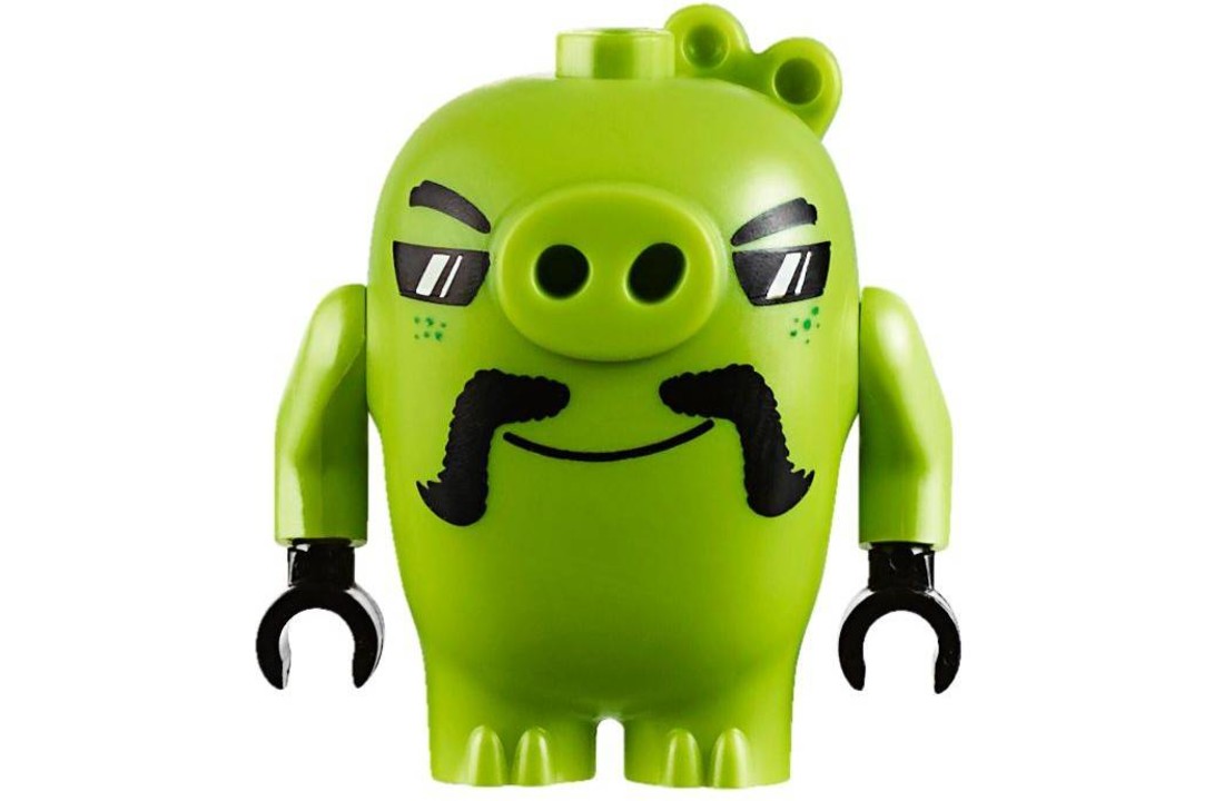 75823 Angry Birds Bird Island Eierenroof