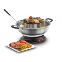 FG 2970 - Fondue & Grill