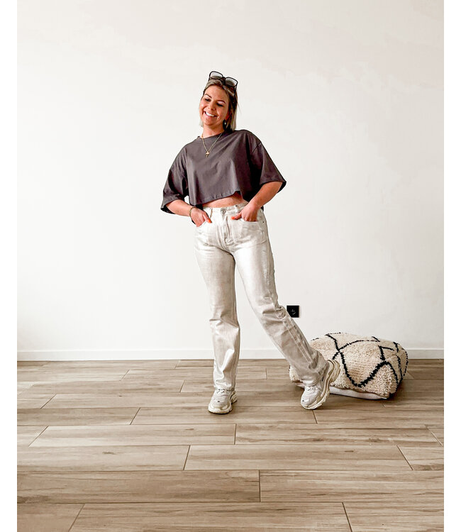 Straight pants beige/silver