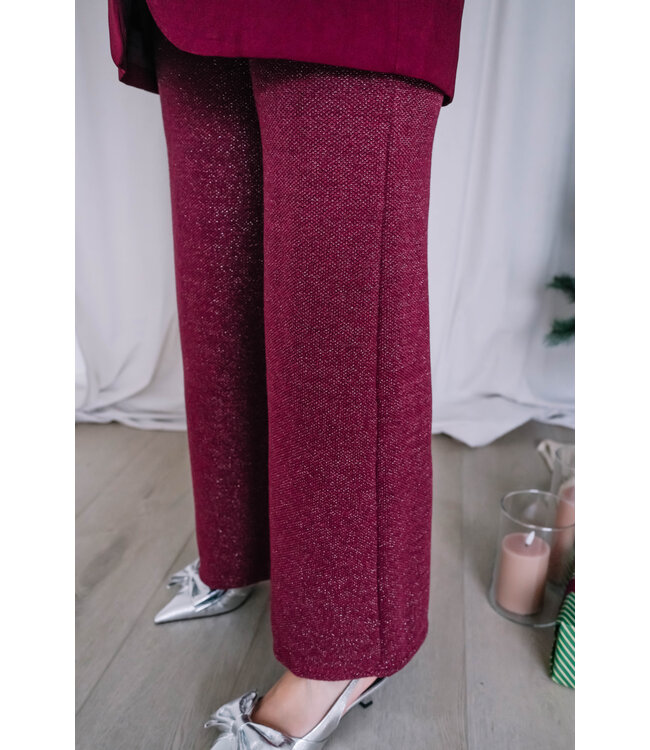 Glitter pants burgundy