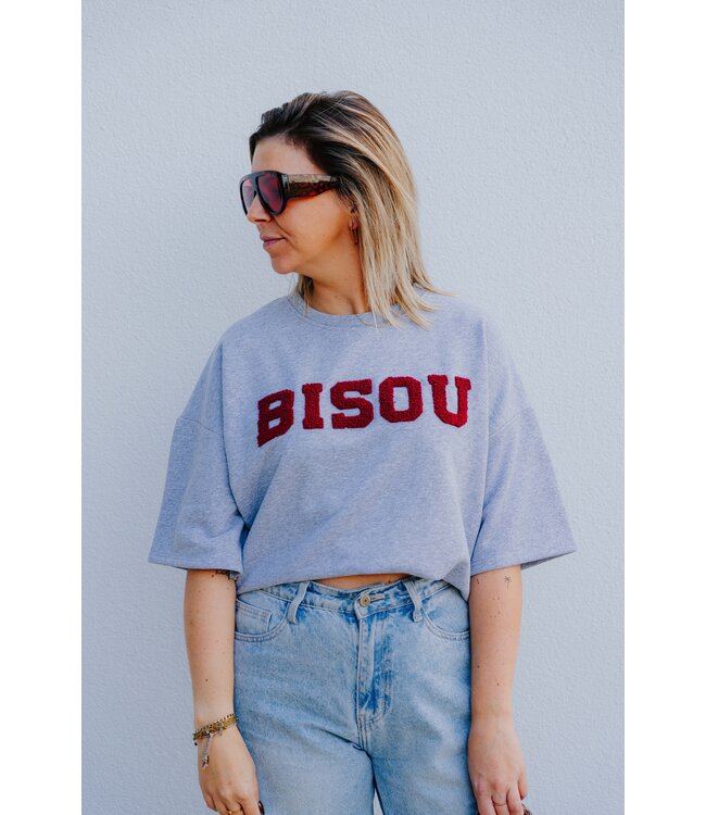 T-shirt sweater bisou grey