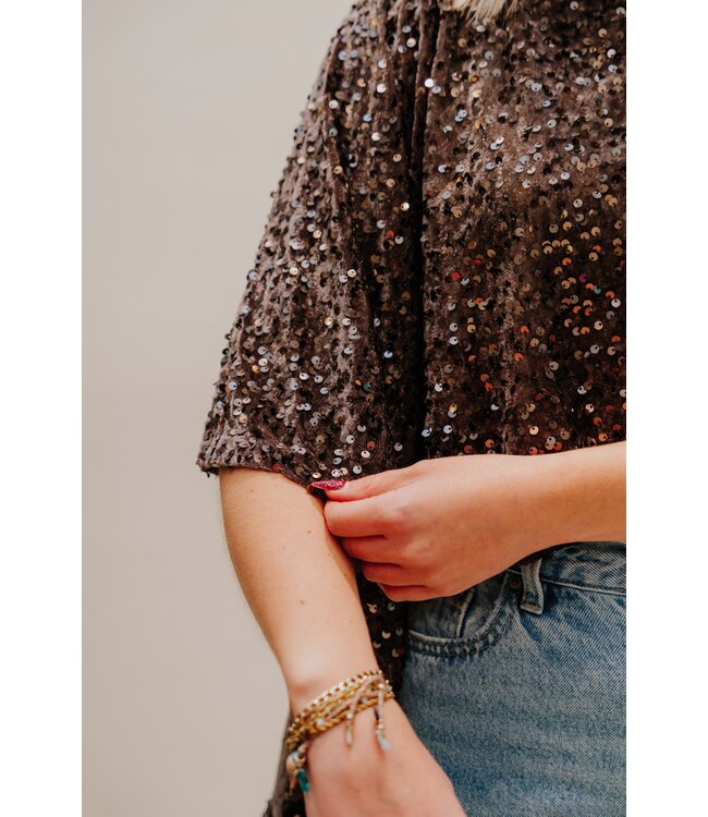 Velvet sequin top brown