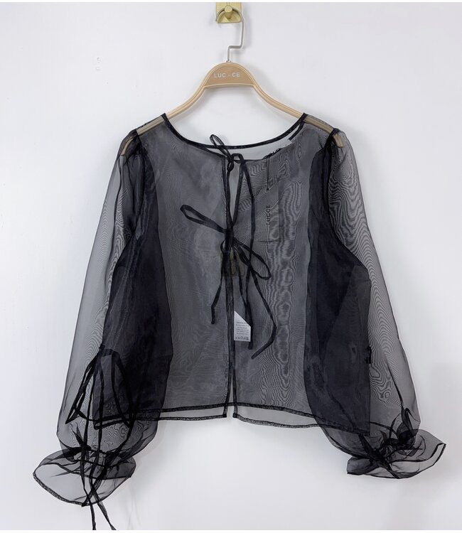 Favorite party blouse