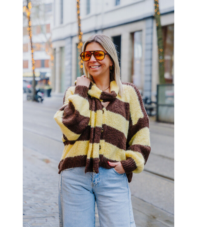 Cardigan & scarf brown/yellow