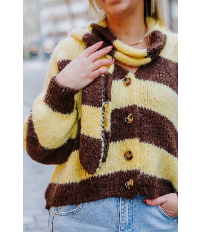 Cardigan & scarf brown/yellow