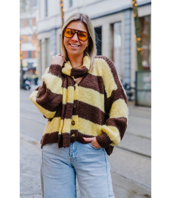 Cardigan & scarf brown/yellow