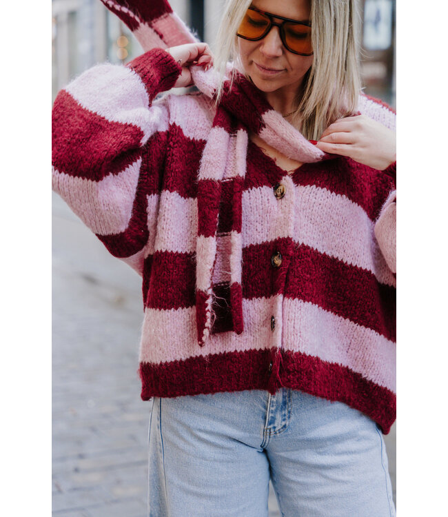 Cardigan & scarf pink/bordeaux