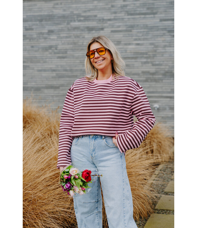 Striped sweater pink/brown