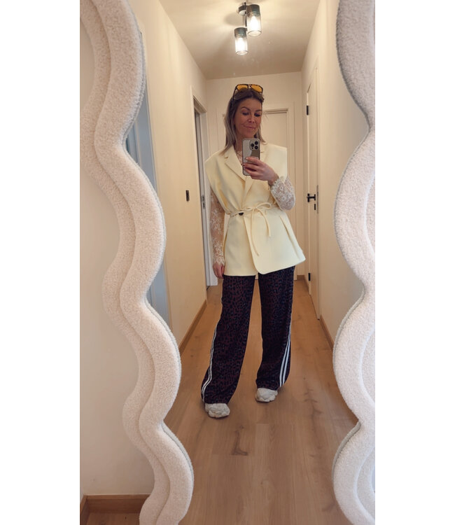 Satin leo pants stripes brown