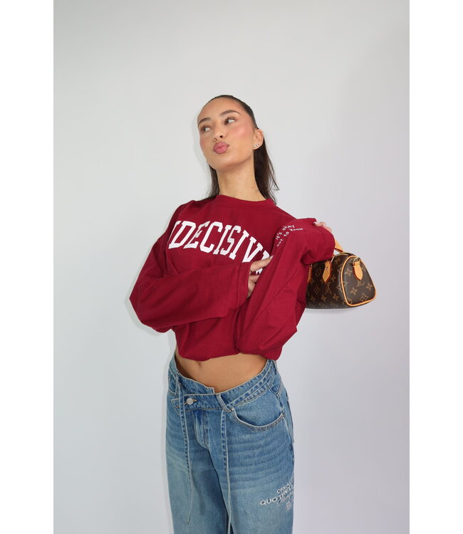 Longsleeve t-shirt indecisive burgundy