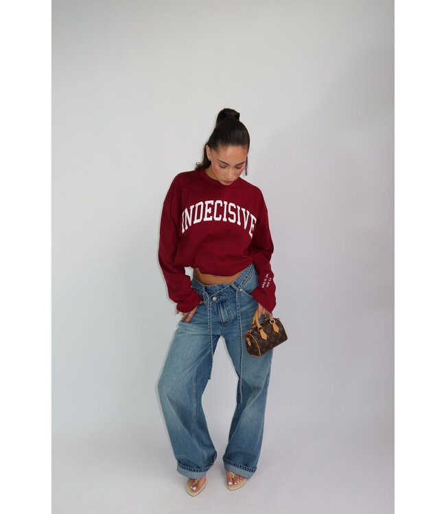 Longsleeve t-shirt indecisive burgundy