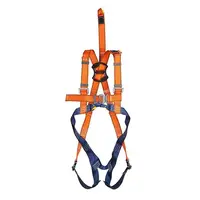 ELLERsafe ELLERsafe | harnasgordel P-30C | snelsluitingen