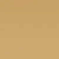 LEE Filters LEE Filter | rol of vel NR.274 | Mirror Gold