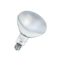 Osram Osram | 4008321543929 | UV-lamp voor technische toepassingen | U VITALX FR 300W | 230V | E27