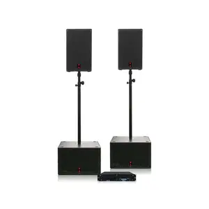 Voice-Acoustic* Voice-Acoustic | Speakerset Modular-10 15-inch passief | SubSat-10 Set