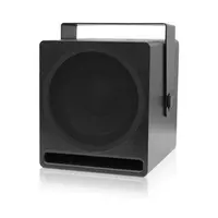 Voice-Acoustic* Voice-Acoustic | Installatie subwoofer | Aleasub-10 | 10-inch compacte  bass reflex subwoofer