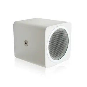 Voice-Acoustic | Alea-4 | Meerprijs Chrome ring voor