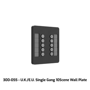 ChamSys ChamSys | CS300055 | GeNetix 10Scene Wall Plate (Dual Pack) EU, incl. Front in b/w