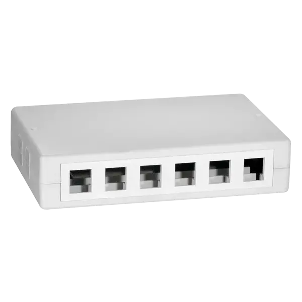 DSIT DSIT | Keystone Media Box 12 poorts