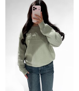 REDEFINED RIBBED SWEATER - RF0035 - SAGE
