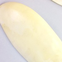 thumb-Schuim deurschot bult L Citroën ID/DS-2