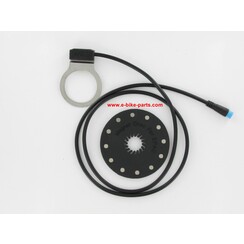 Sensor with magnetic disk V3