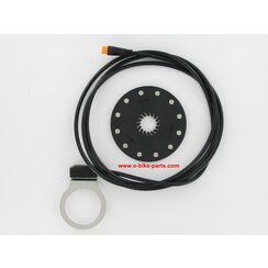 Sensor with magnetic disk V4