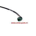 Anzeige DP C18 Canbus