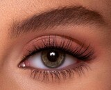 Wimperlijm aanbrengen: zo blijven nepwimpers echt zitten