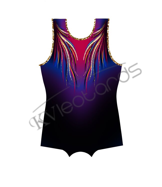 KV Gymnastics Wear Leotard Rise like a Phoenix Men