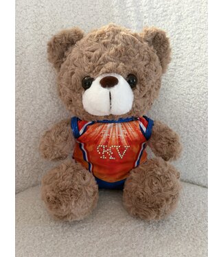 KV Gymnastics Wear Teddy bear KV WC NED