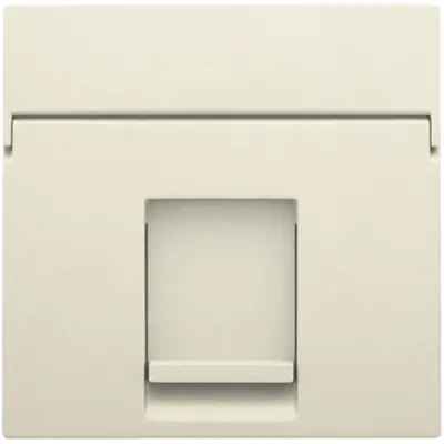 Niko centraalplaat 1-voudig tbv RJ draagring cream (100-65100)