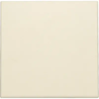 Niko blindplaat zonder draagring cream (100-76901)