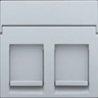 Niko centraalplaat 2-voudig vlak tbv RJ draagring sterling coated (121-65200)