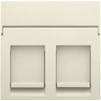 Niko centraalplaat 2-voudig tbv RJ draagring cream (100-65200)