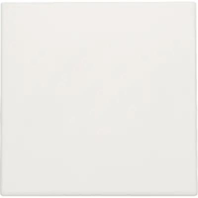 Niko blindplaat met kabeluitvoer zonder draagring white (101-76001)