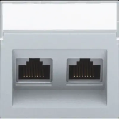 Niko centraalplaat 2-voudig tbv RJ draagring schuin met tekstveld sterling coated (121-65400)