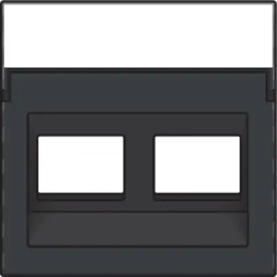 Niko centraalplaat 2-voudig tbv RJ draagring schuin met tekstveld anthracite coated (122-65400)