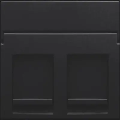 Niko centraalplaat 2-voudig vlak tbv RJ draagring black coated (161-65200)