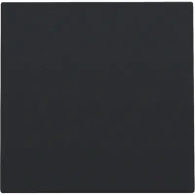 Niko blindplaat met kabeluitvoer zonder draagring black coated (161-76001)