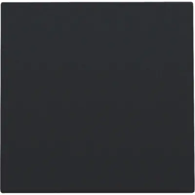 Niko blindplaat zonder draagring black coated (161-76901)