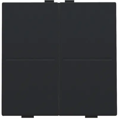 Niko tweevoudige toets voor draadloze schakelaar black coated (161-00007)