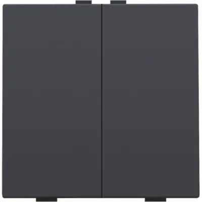 Niko drukknop 2-voudig voor Niko Home Control anthracite coated (122-51002)